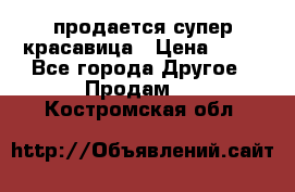 продается супер красавица › Цена ­ 50 - Все города Другое » Продам   . Костромская обл.